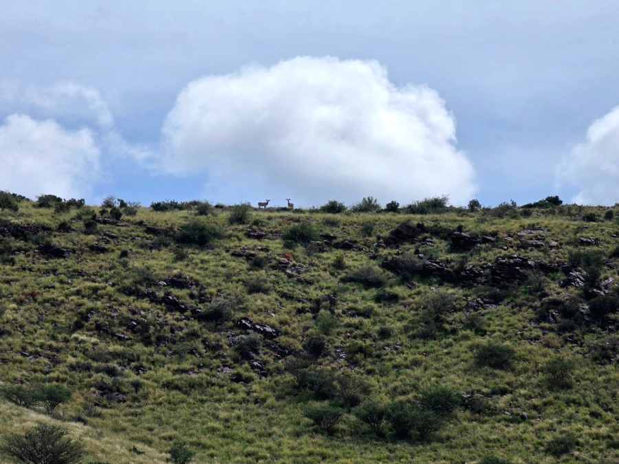 Commercial Property for Sale in Griekwastad Rural Northern Cape